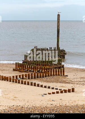 Pennelli in metallo ricoperto di alghe zigzagando in mare su una spiaggia di Norfolk Foto Stock