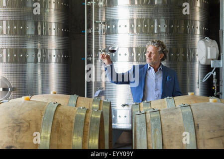 Vignaiolo esaminando il vino rosso in cantina Foto Stock