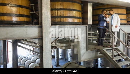 Vintners esaminando il vino sulla piattaforma in cantina Foto Stock