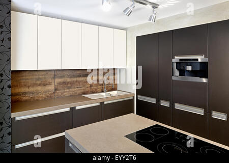 I contatori e gli armadi in cucina moderna Foto Stock