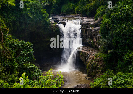 Una cascata che scorre sulle Rocky River nella giungla, Ubud, Bali, Indonesia Foto Stock