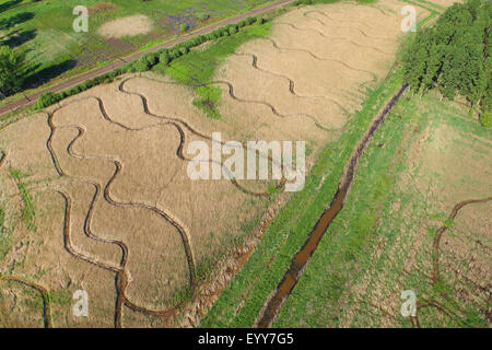 Le zone umide e reedland dall'aria, Demerbroeken riserva naturale, Belgio Foto Stock