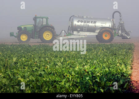 Il trattore spargimento di concime liquido su un campo, Belgio Foto Stock