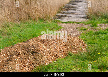 Planked sentiero attraverso highmoor Huvenhoopsmoor, Germania, Bassa Sassonia Foto Stock