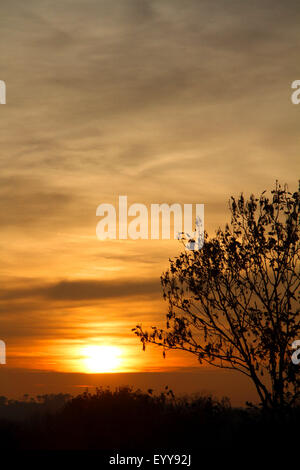 Cirrostratus nuvole al tramonto Foto Stock