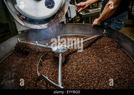 Caucasian tostatore lavorando sul caffè in macchinari Foto Stock