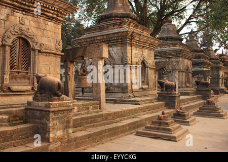 Tempio di Pashupatinath, Nepal, Kathmandu, Pashupatinath Foto Stock