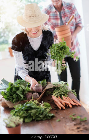 I vecchi Caucasian matura la raccolta degli ortaggi da giardino Foto Stock