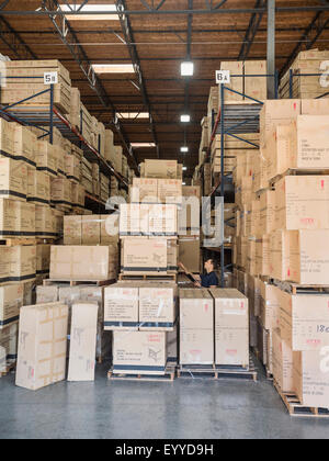 Lavoratore caucasica esaminando le scatole di cartone in magazzino Foto Stock