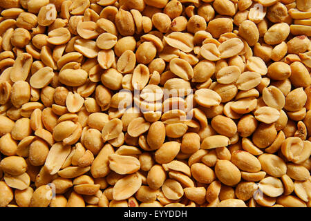 Terra-dado, arachidi (Arachis hypogaea), arachidi con sale Foto Stock