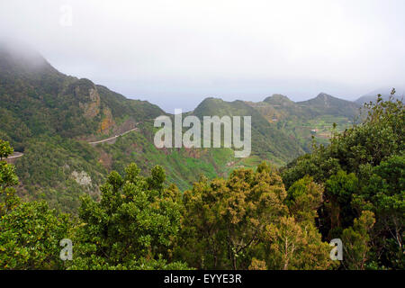 Macizo de Anaga mountain range , Isole Canarie, Tenerife, Chamorga Foto Stock