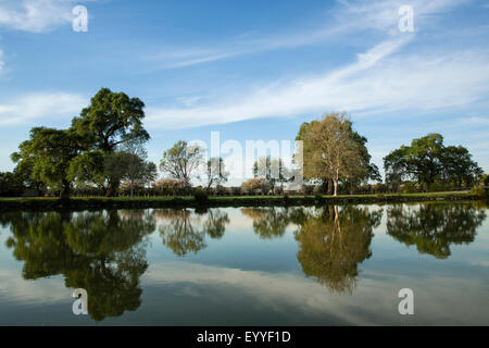 Alberi sotto il cielo blu riflettente nel lago ancora Foto Stock