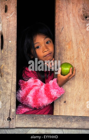 Bambina di Ifugao persone azienda un agrume in mano e guardando fuori di una capanna in legno, Filippine, Luzon, Banaue Foto Stock