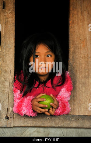 Bambina di Ifugao persone azienda un agrume nelle mani e guardando fuori di una capanna in legno, Filippine, Luzon, Banaue Foto Stock