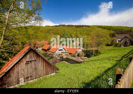 Case storiche di Hagen open-air Museum, in Germania, in Renania settentrionale-Vestfalia, la zona della Ruhr, Hagen Foto Stock