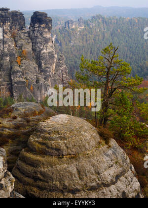 Vista da Bastei è una formazione rocciosa a Elba montagne di arenaria in autunno, in Germania, in Sassonia, Svizzera Sassone National Park Foto Stock