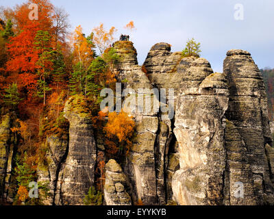 Vista da Bastei è una formazione rocciosa a Elba montagne di arenaria in autunno, in Germania, in Sassonia, Svizzera Sassone National Park Foto Stock