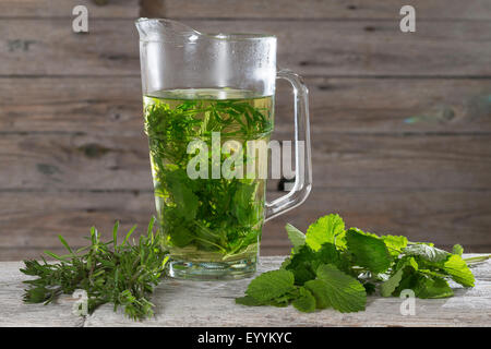 Melissa, giardino balsamo (Melissa officinalis), tè da melissa e goosegrass, Germania Foto Stock