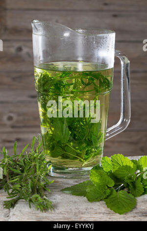 Melissa, giardino balsamo (Melissa officinalis), tè da melissa e goosegrass, Germania Foto Stock