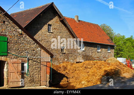 Vecchio mansonry di una casa colonica con sterco hill, in Germania, in Renania settentrionale-Vestfalia Foto Stock