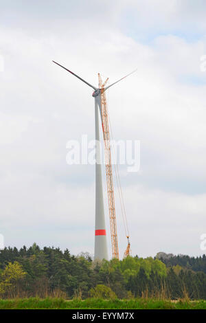 Heavy-duty gru e ruota di alimentazione, manutenzione, in Germania, in Baviera Foto Stock