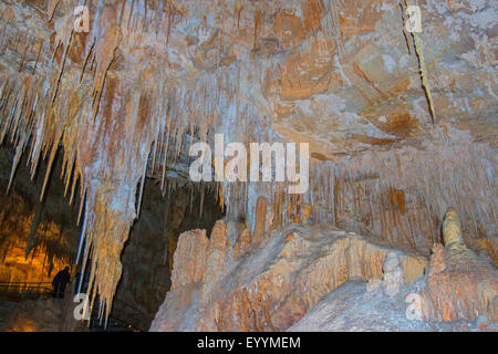 Stalattiti in grotta Mammaoth, Australia Australia Occidentale, Mammoth Cave Foto Stock