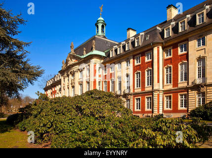 Università di Muenster, castello di Muenster, Germania, Renania settentrionale-Vestfalia, Munster Foto Stock