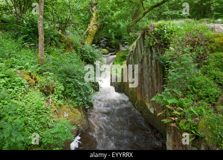 Aira Beck vicino Ullswater in estate Lake District National Park Cumbria Inghilterra Regno Unito GB Gran Bretagna Foto Stock