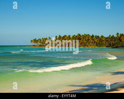 Baia di Samana, Las Galeras, Repubblica Dominicana, Samana Foto Stock