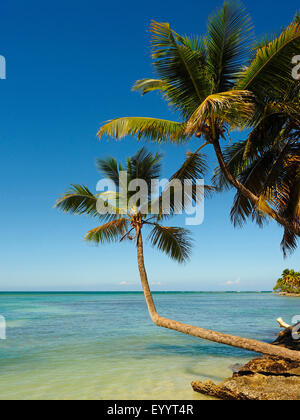 Baia di Samana, Las Galeras, Repubblica Dominicana, Samana Foto Stock