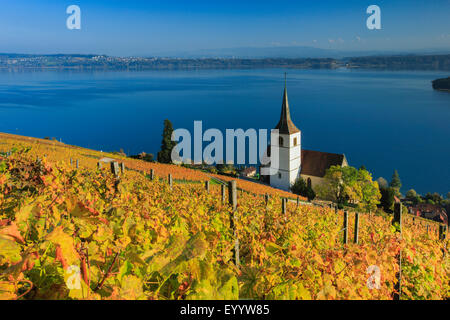 Ligerz al Lago Bieler, Svizzera, Berna Foto Stock