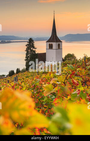 Ligerz al Lago Bieler, Svizzera, Berna Foto Stock