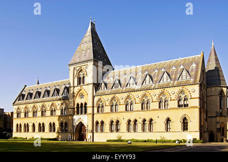 Oxford University Museo di Storia Naturale , Regno Unito, Inghilterra, Oxford Foto Stock