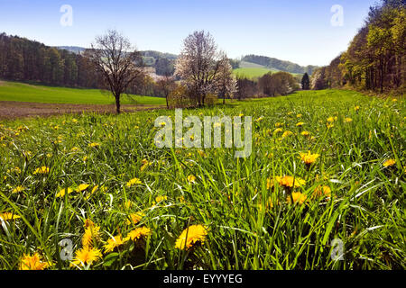 Il paesaggio al Muttental in primavera, in Germania, in Renania settentrionale-Vestfalia, la zona della Ruhr, Witten Foto Stock