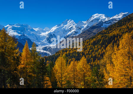 Piz Piz Palue, 3905 m, il Piz Bernina, 4049 m, al Piz Morteratsch,3751, Morteratsch ghiacciaio, Svizzera, Grigioni, Oberengadin Foto Stock