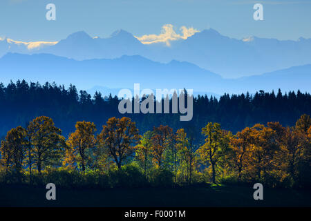 Emmental, Eiger, Moench e Jungfrau , Svizzera Foto Stock