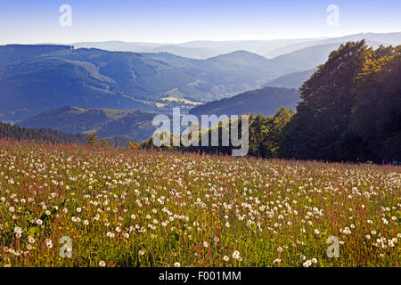 Lookout Point oltre il paesaggio nei pressi di Wildewiese, in Germania, in Renania settentrionale-Vestfalia, Sauerland, Sundern Foto Stock