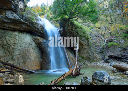 La cascata di montagna vicino lago Mondsee con tronchi di alberi, Austria Austria Superiore Foto Stock