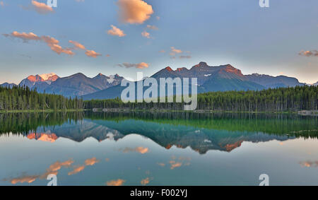 Herbert Lago, atmosfera serale dopo il tramonto, Canada, Alberta, il Parco Nazionale di Banff Foto Stock