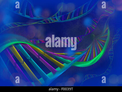Struttura della doppia elica del DNA Foto Stock