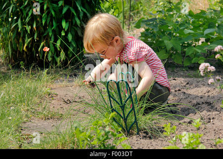 Bambina giocando in un giardino patch, Germania Foto Stock