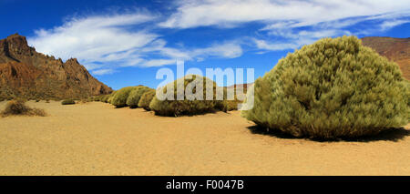 Deserto paesaggio vulcanico di Las Canadas, Isole Canarie, Tenerife, Parco Nazionale del Teide Foto Stock