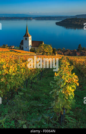 Ligerz sul Lago di Bienne, Svizzera, Drei-Seen-Land Foto Stock