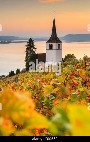 Ligerz sul Lago di Bienne, Svizzera, Drei-Seen-Land Foto Stock