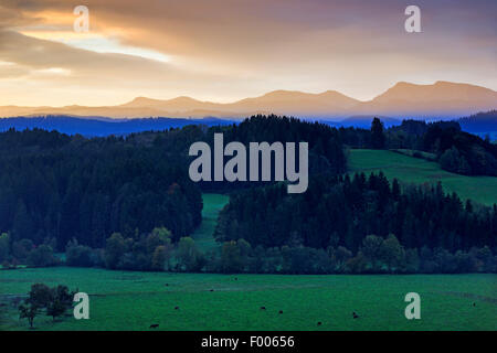 Il tedesco pre-Alpi in Algovia orientale, Germania Baden-Wuerttemberg Foto Stock