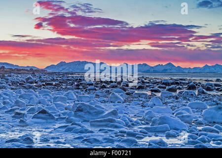 Ice floes presso la costa, lo splendore del sole di mezzanotte dietro l'orizzonte in una notte polare su Lang°ya , Norvegia, VesterÕlen, Insel e°ya, Andenes Foto Stock