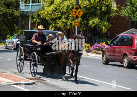 Amish buggies condividono la carreggiata in Lancaster County, PA. Foto Stock