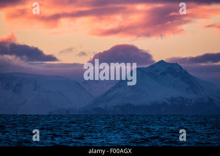 Fjord nella notte polare, Norvegia, VesterÕlen, Insel e°ya Foto Stock