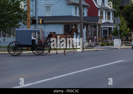 Amish buggies condividono la carreggiata in Lancaster County, PA. Foto Stock