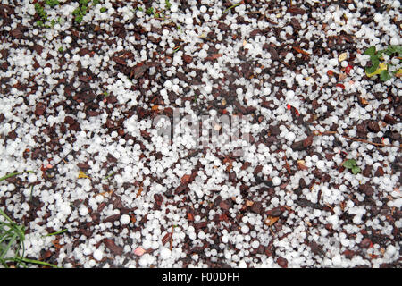 Sleets sul terreno, Germania Foto Stock